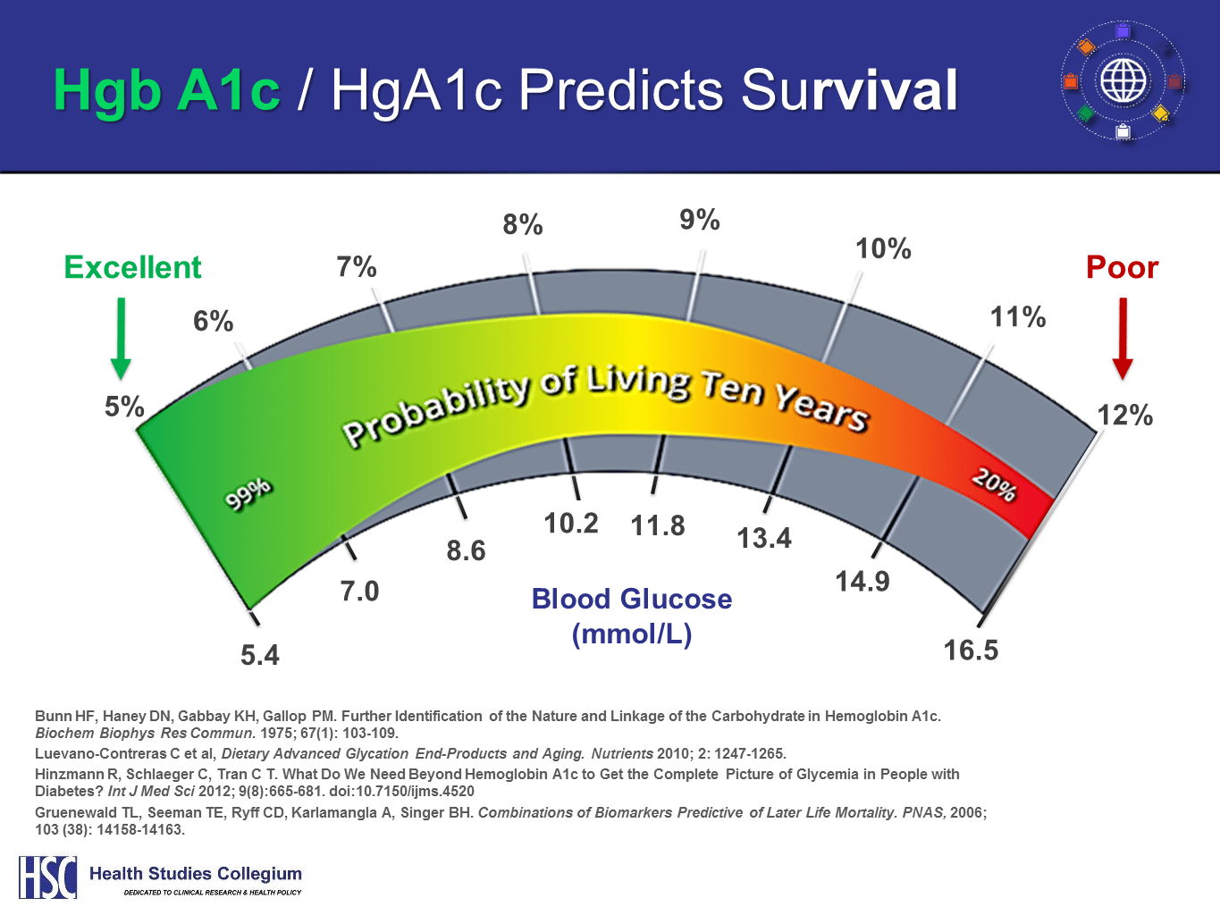 HgbA1c A Measure Of Sugar insulin energy Conversion And Diabetes Risk